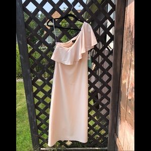 Scarlett blush size 14P dress